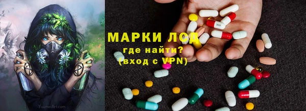 ПСИЛОЦИБИНОВЫЕ ГРИБЫ Алзамай