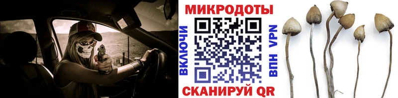 что такое наркотик Железноводск Псилоцибиновые грибы ЛСД